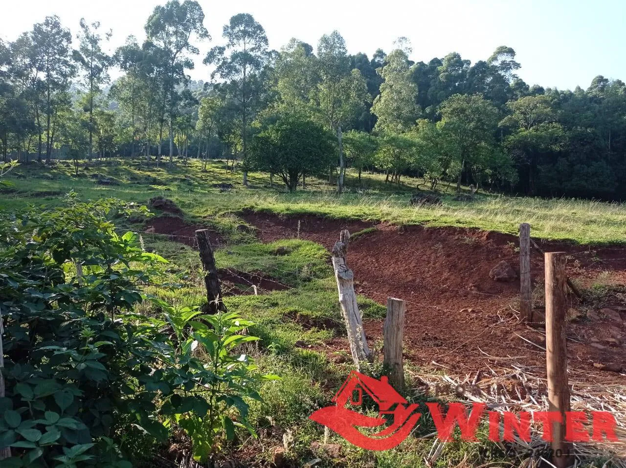 Imagem Chácara com 96.972,00m² em Morro Gaúcho, Alto Feliz.