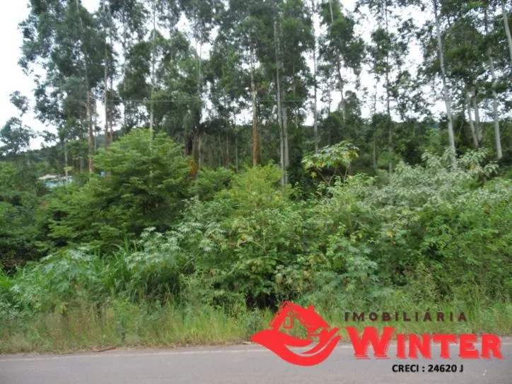 Imagem Área de terra com 7.884,70m² no São Roque/ Feliz.