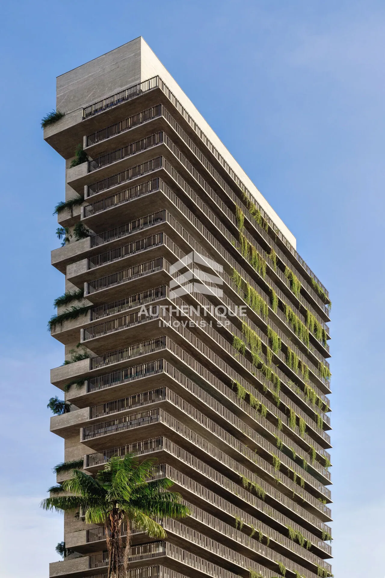 Imagem Ibaté - Apartamento à venda no bairro Moema - São Paulo/SP, Zona Sul