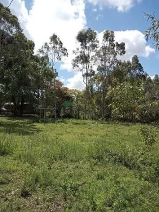 Imagem EXCELENTE!!! Sítio Rural com 5.8 Hectares, Casa e açude, Pimenta Viamão