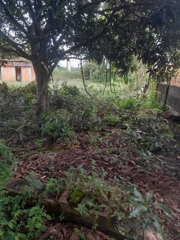 Imagem Terreno à venda, 1460 m² por R$ 84.000,00 - Distrito de Alagoas - Patos de Minas/MG
