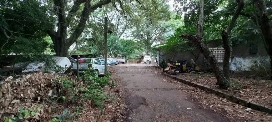 Imagem Terreno em Camaquã