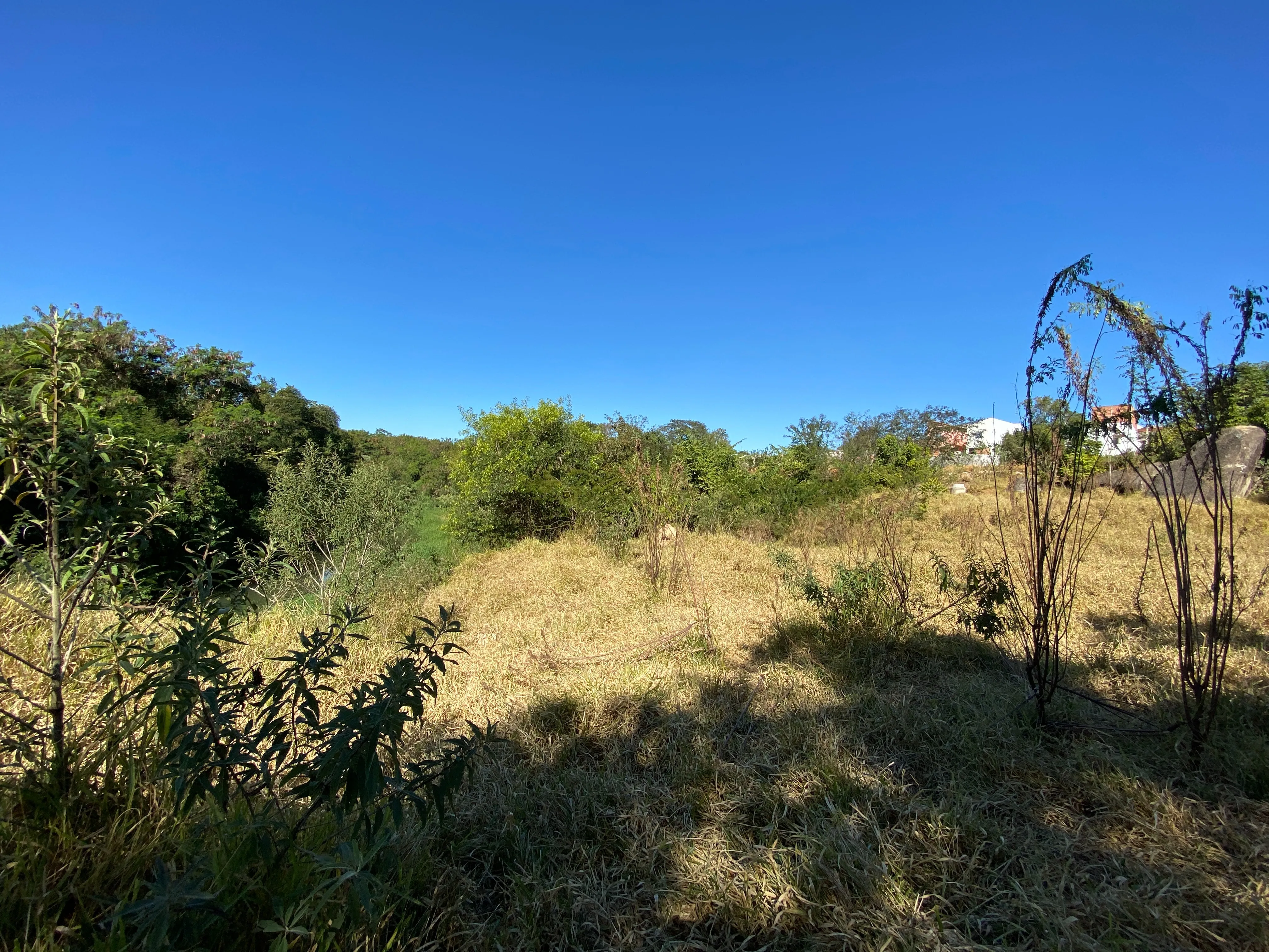 Imagem ? OPORTUNIDADE ÚNICA! TERRENO DE 6.450,00 m2 DE ÁREA ?