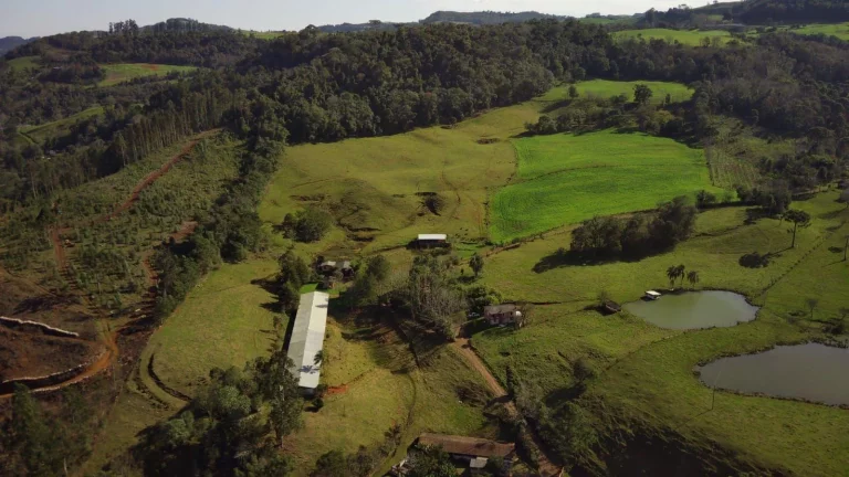 Imagem Área Agrícola para Venda em Concórdia, Rural
