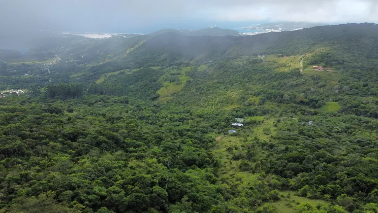 Imagem Terreno à Venda com Vista para o Mar e Lagoa do Macacu - 9,3 Hectares em Garopaba-SC!