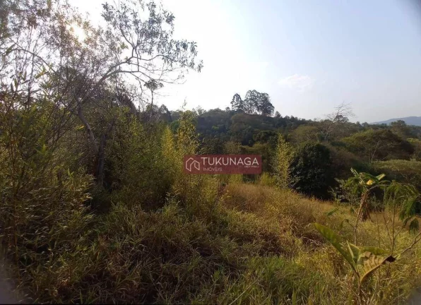 Imagem Terreno à venda, 9568 m² por R$ 901.000,00 - São Vicente - Mairiporã/SP