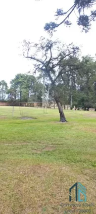 Imagem Chácara 5.000 m², podendo ser vendido os 25.230 m2, bem localizada em Piraquara - PR