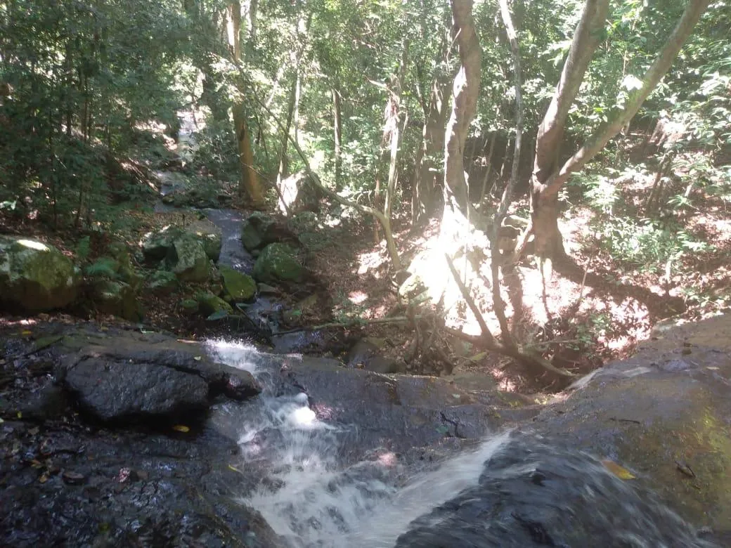 Imagem Chácara para venda, bairro Voluntário Baixo em Igrejinha/RS.