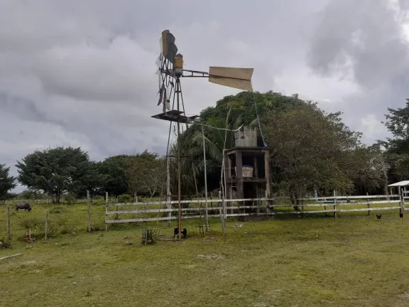 Imagem Fazenda à Venda,  em zona rural - Salvaterra