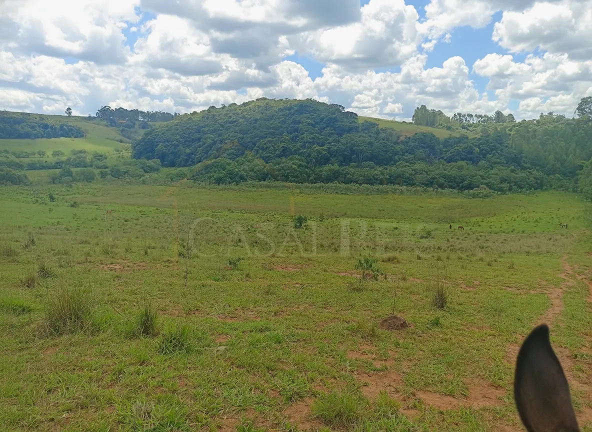 Imagem Sítio 50 m² à venda em Centro, Cruzília