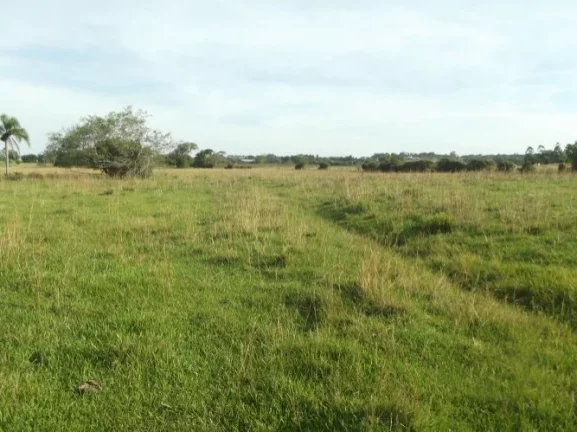 Imagem Excelente área para Condomínio ou Loteamento região central de Águas Claras