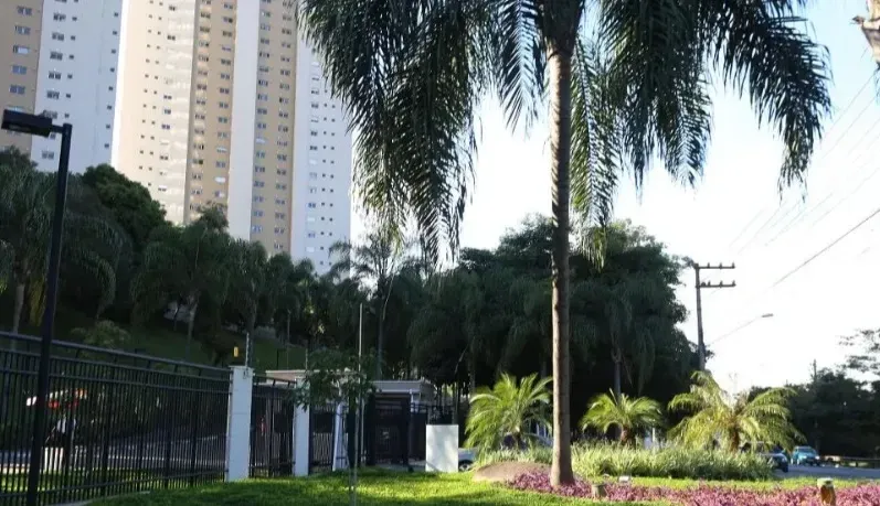 Imagem Apartamento com 3 Quartos para Alugar, 186 metros em Rio Pequeno - São Paulo