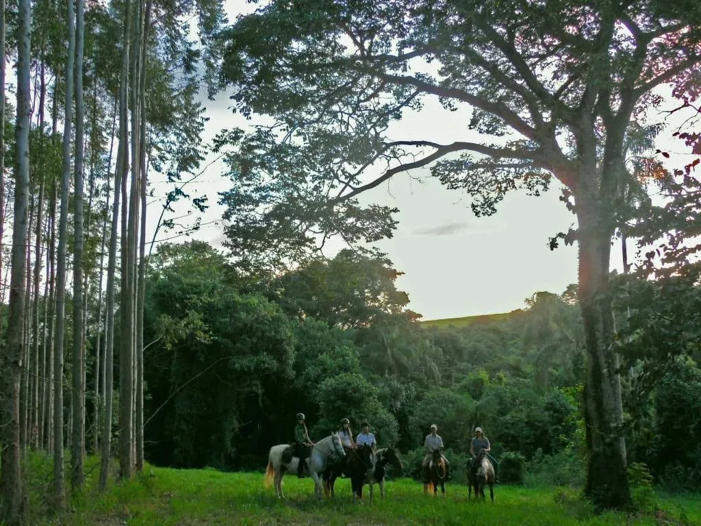Imagem Chácara à venda 233472.24M², Zona Rural, Santa Cruz da Conceição - SP