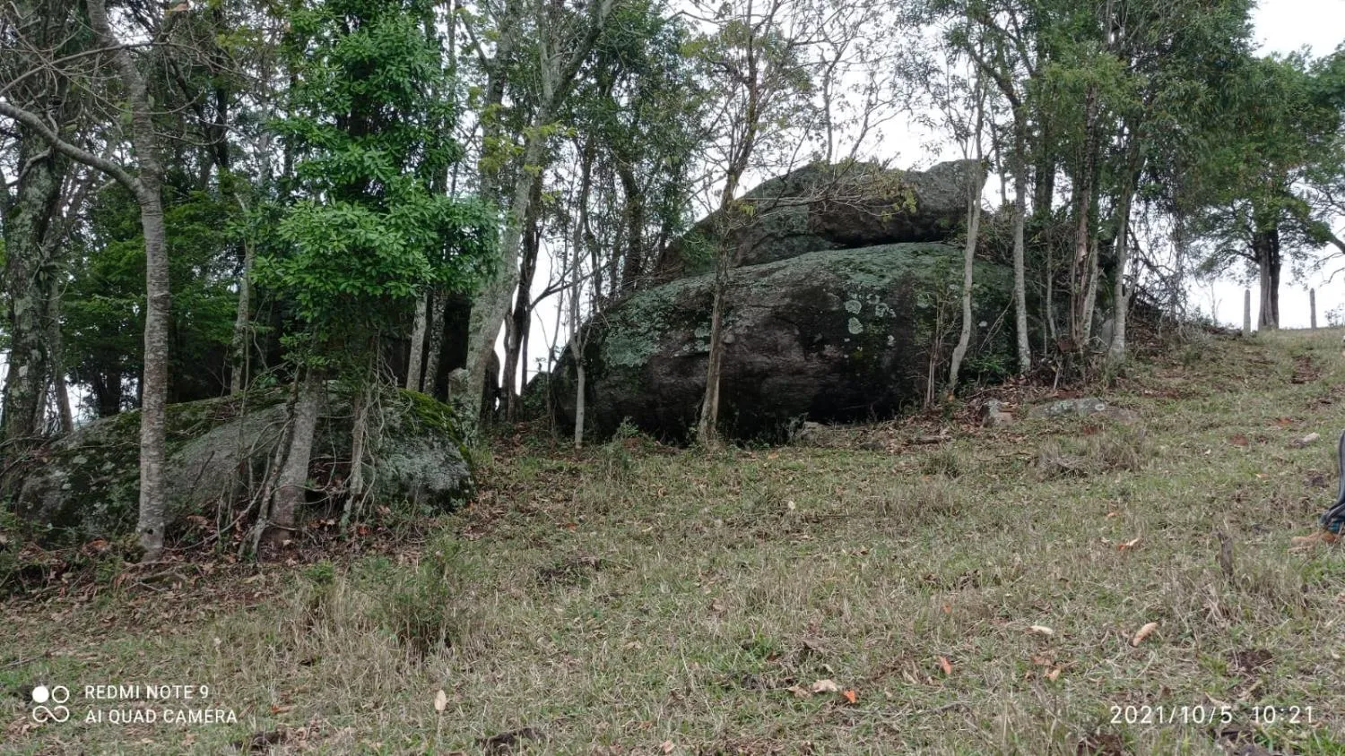 Imagem Sítio em Joanópolis - 11 alqueires