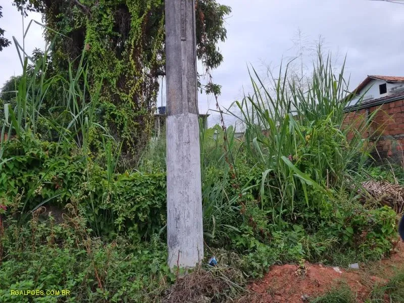 Imagem Terreno Comercial para Venda em MAGÉ, Praia De Mauá