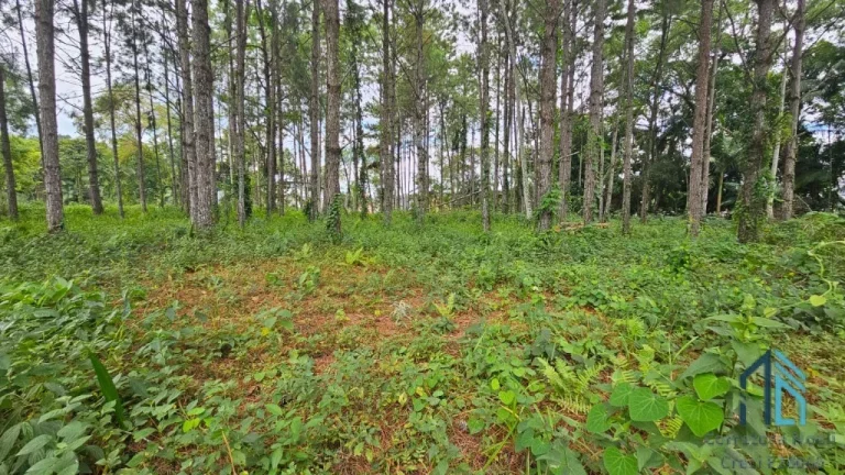 Imagem Terreno de Esquina a venda - Zona Industrial 7872 m2 em Blumenau SC