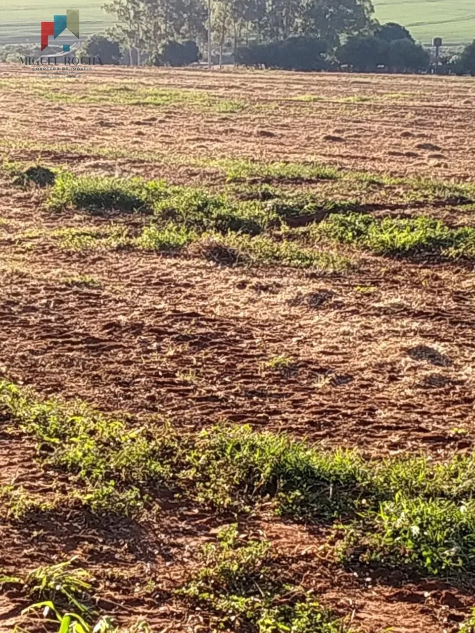 Imagem Sítio em Itapeva/SP