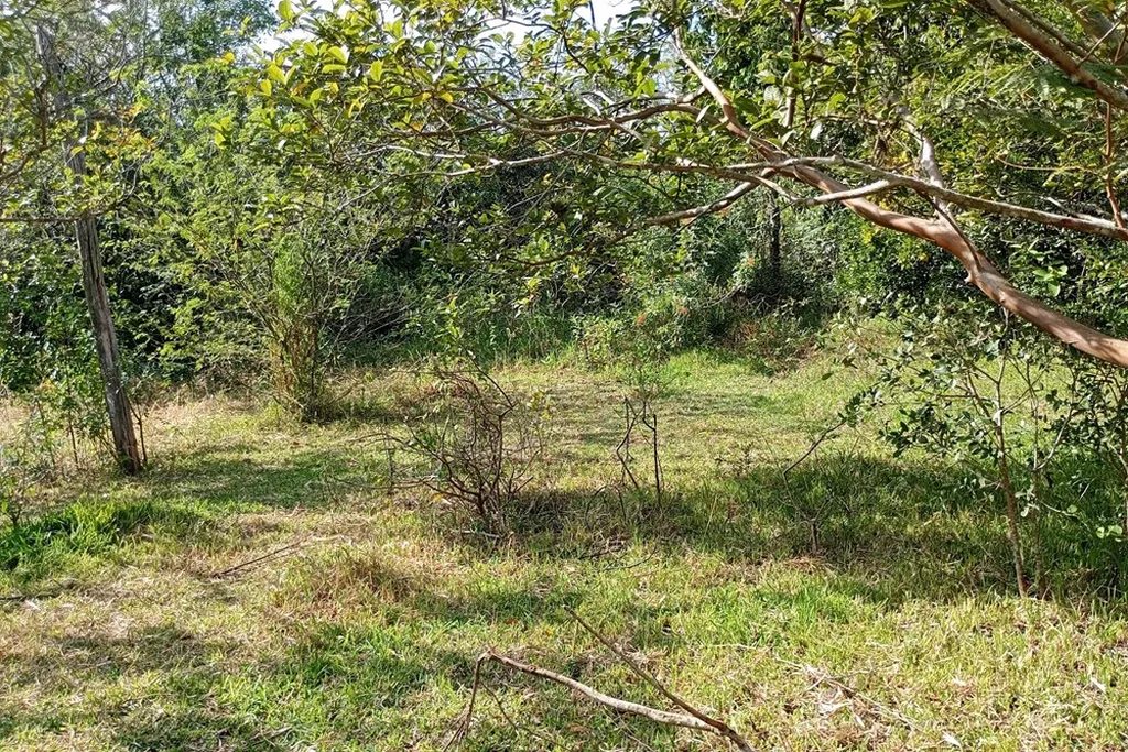 Imagem Fazenda em Belém Novo