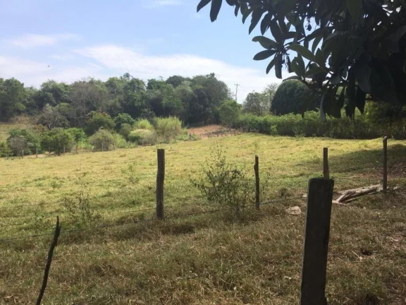 Imagem Chácara dos Sonhos à Venda em Bofete - Castelo Branco Km 183