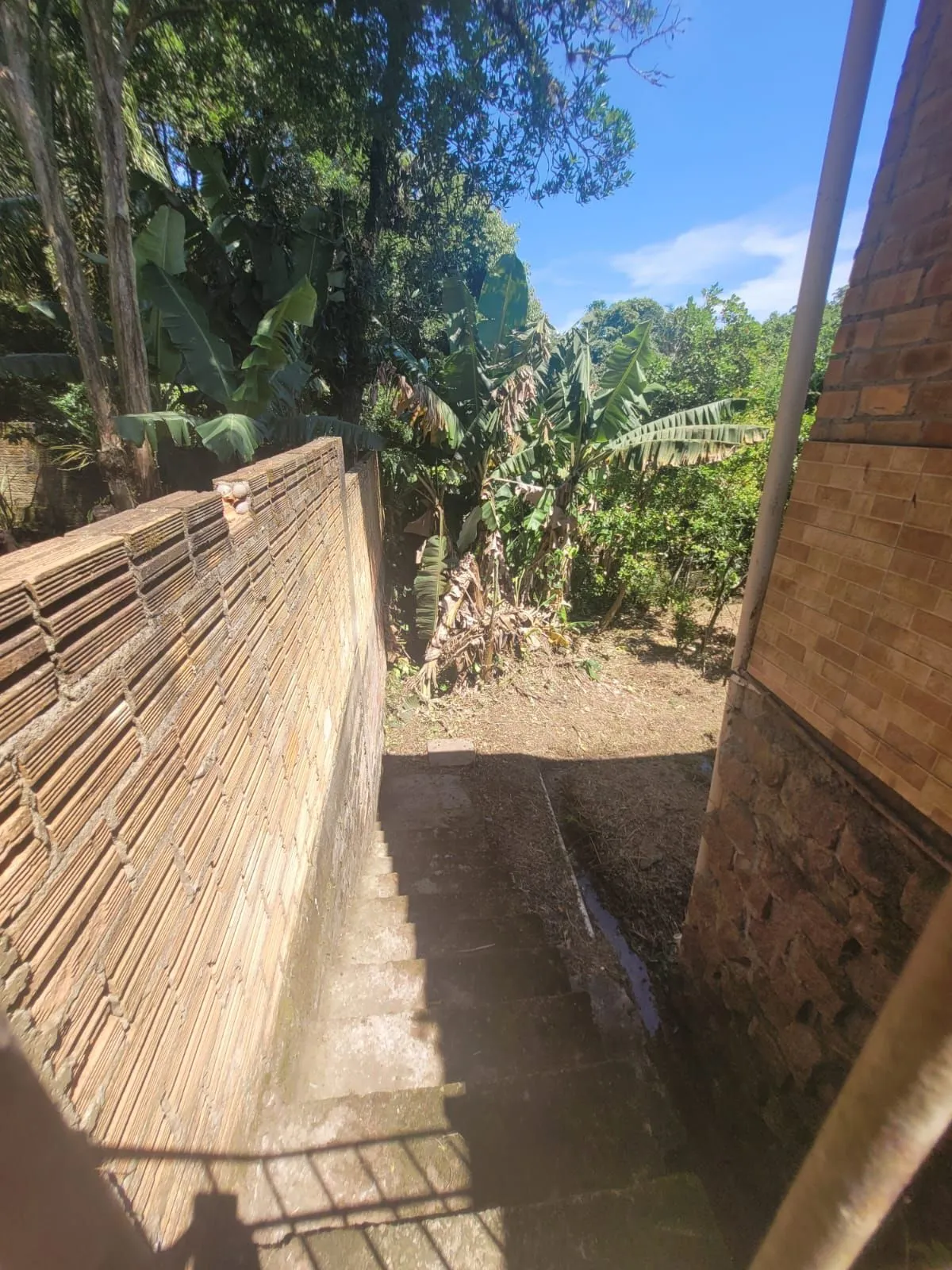 Imagem Chácara em Cascata
