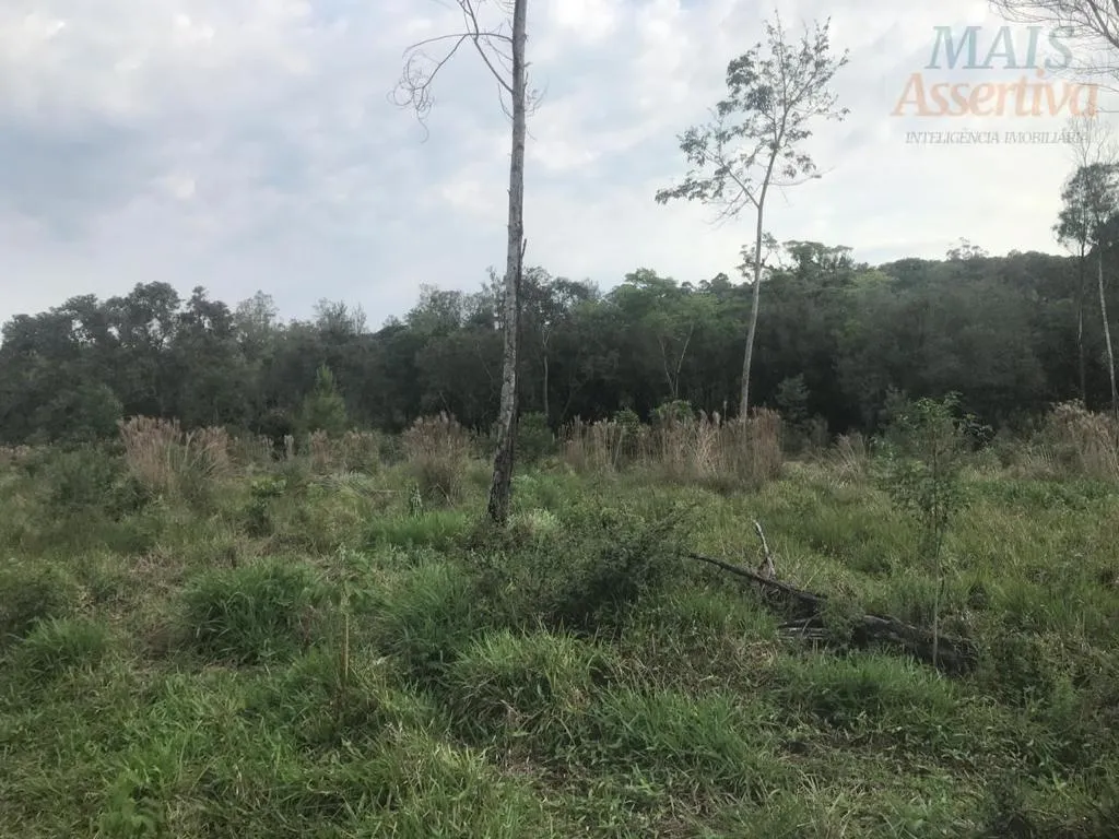 Imagem Área Industrial para Venda em Campo Bom / RS
