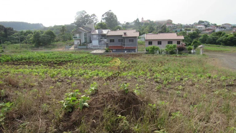 Imagem Terreno para Venda em Concórdia, Rural
