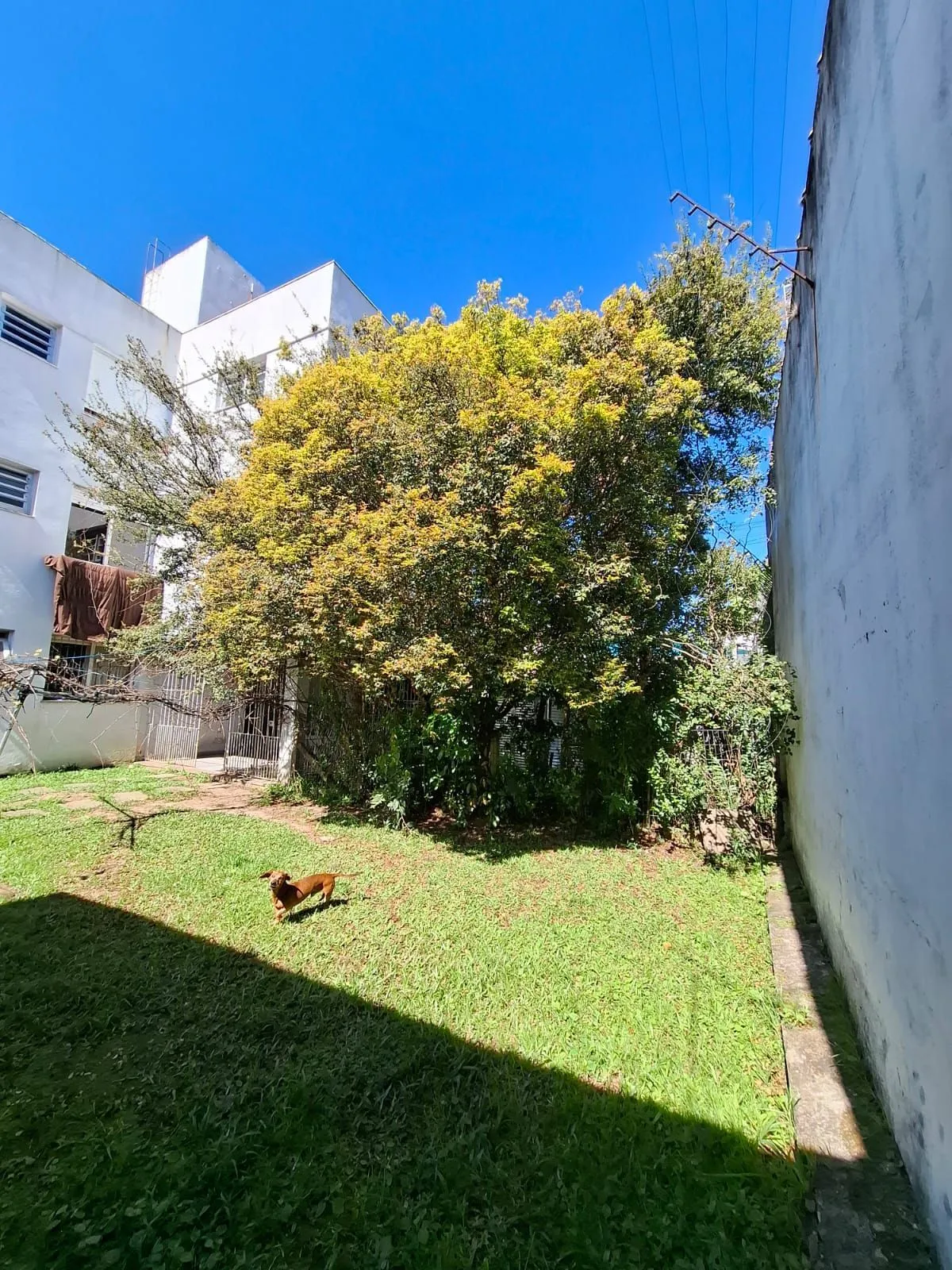 Imagem Apartamento em Jardim Sabará