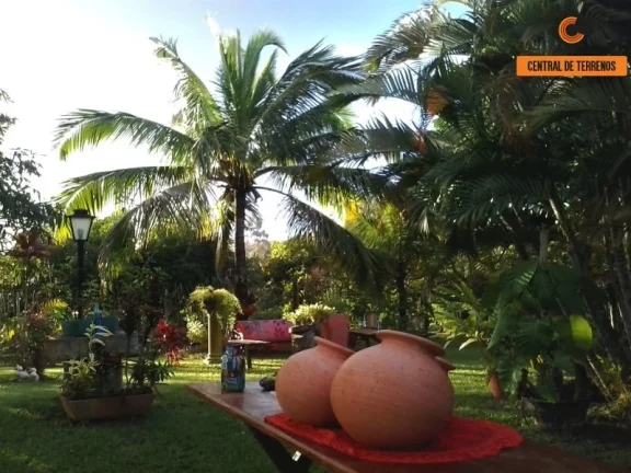 Imagem SITIO EM BARRA DE POJUCA