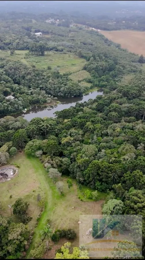 Imagem Chácara para Venda em São José dos Pinhais, Contenda