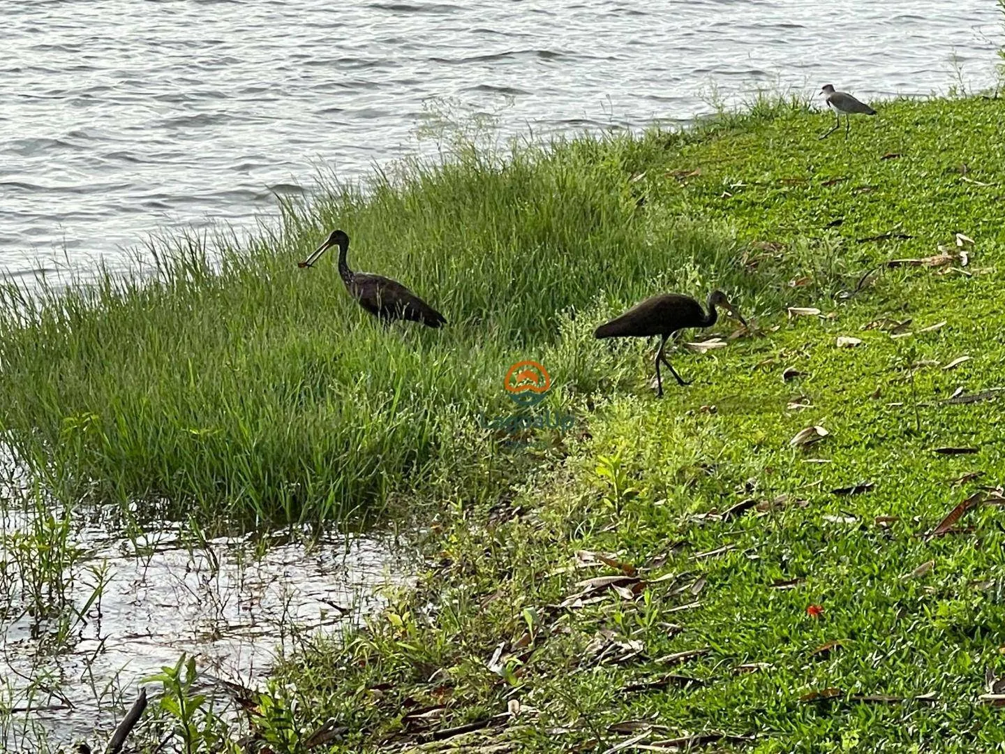 Imagem Terreno à venda no Joá - Lagoa Santa, Minas Gerais