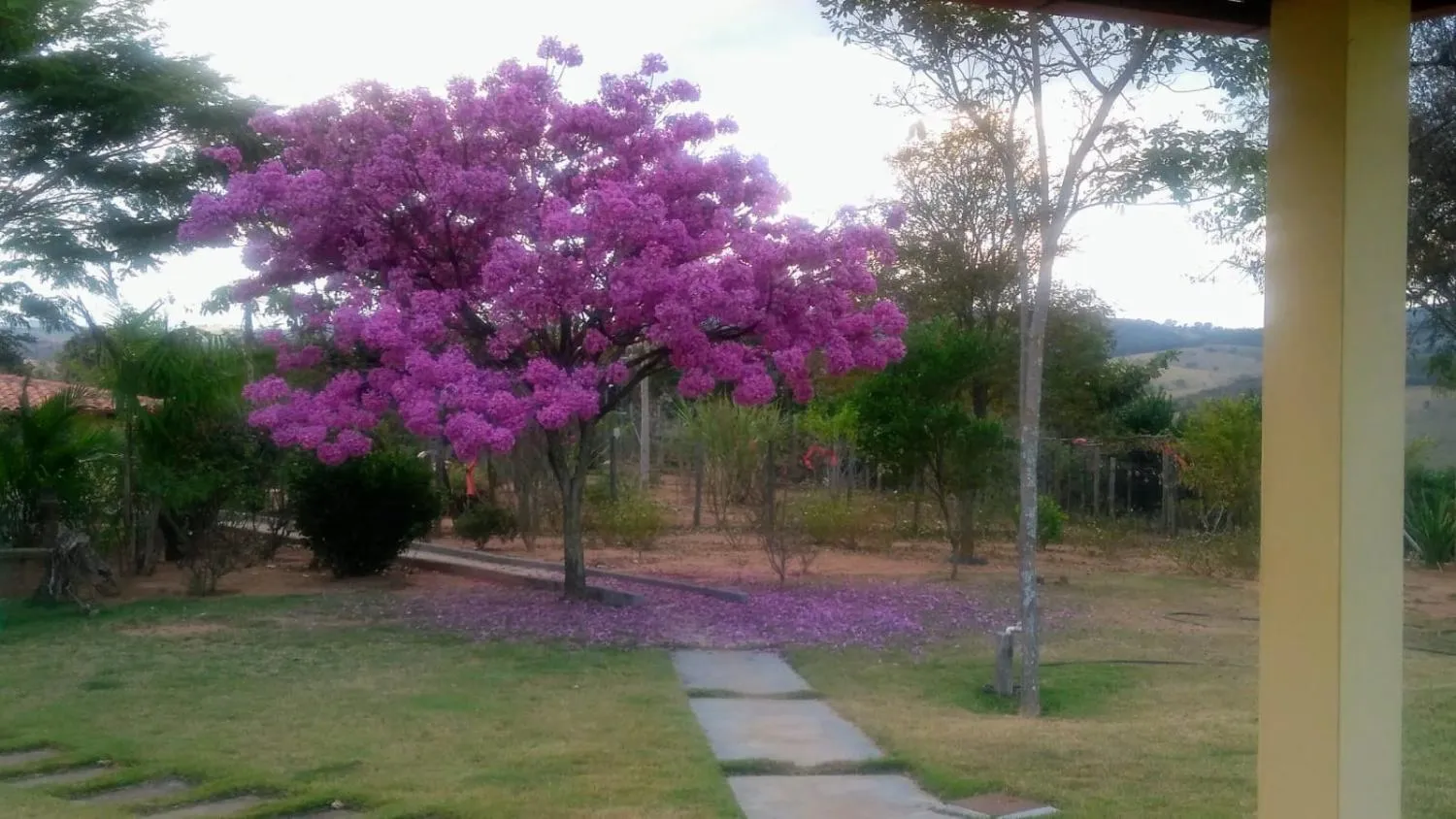 Imagem Vendo um magnífico sítio em Piedade dos Gerais - com 14,5 hectares (145.000 m²) de terreno,