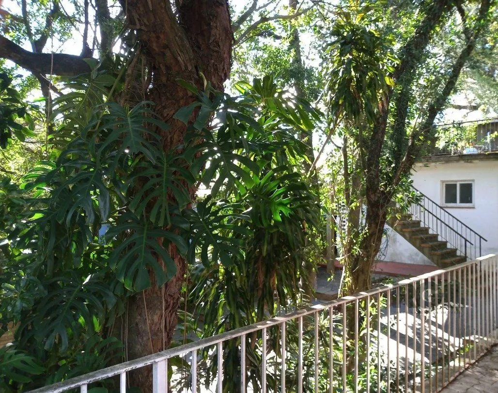 Imagem Casa, 1873 M² para Comprar com 4 Dormitórios e 6 Vagas Estacionamento