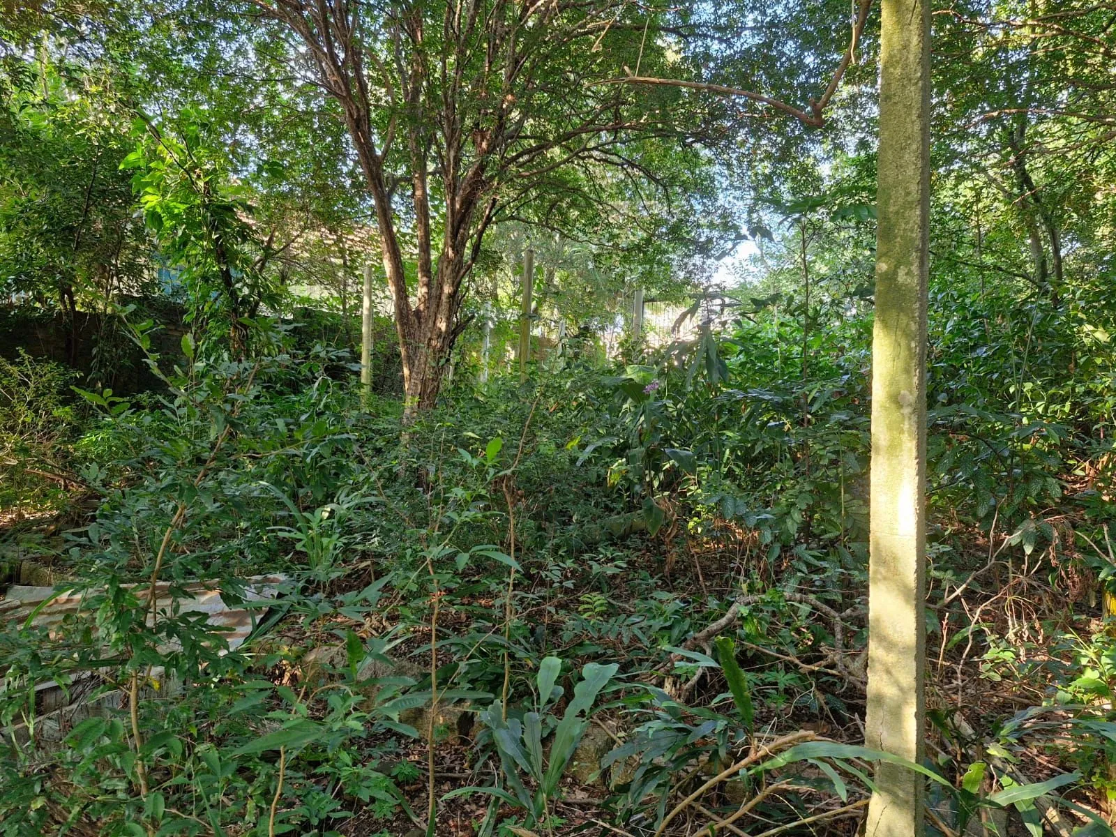 Imagem Terreno em Teresópolis