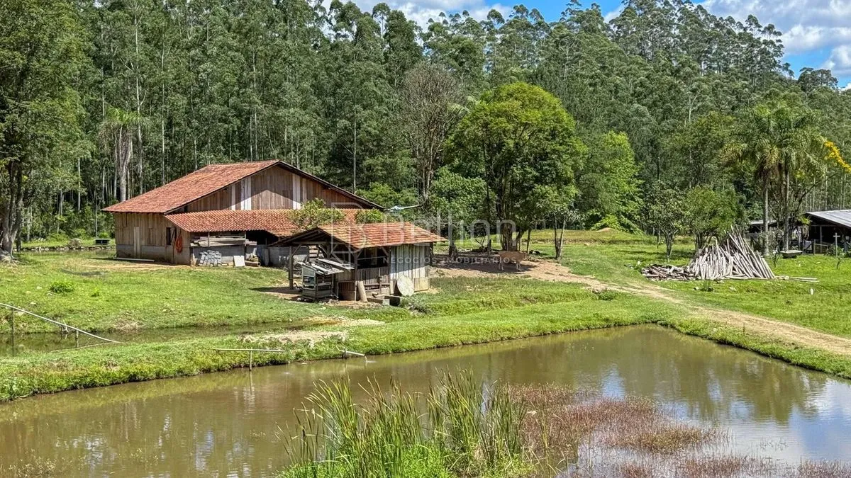 Imagem Sítio completo com lagoas, ribeirão e nascente em Rio dos Cedros