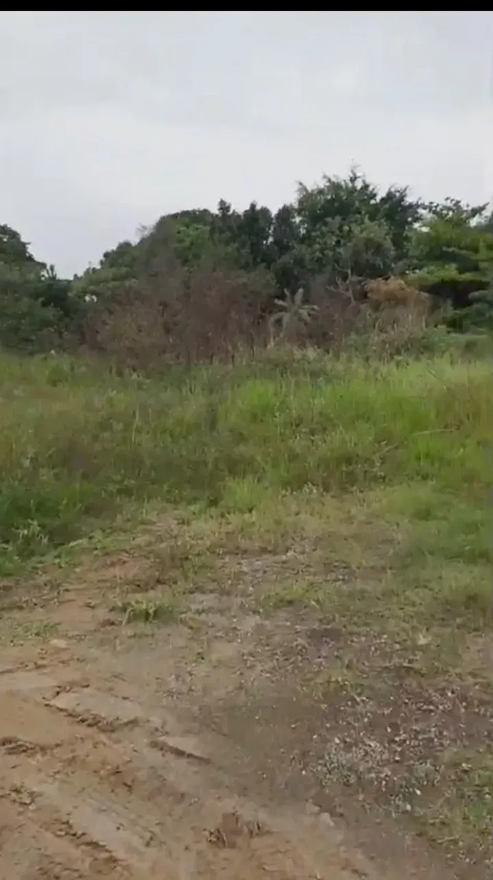 Imagem Terreno à Venda, 120 m² em Cidade Jardim Parque Estoril - Nova Iguaçu