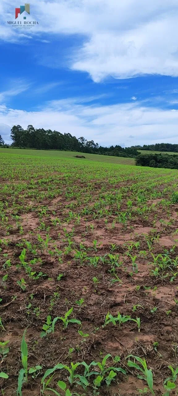 Imagem Fazenda a venda São Miguel Arcanjo SP