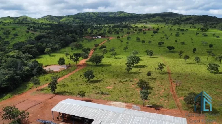 Imagem Fazenda com 168 alqueires goianos - 813 Hectares; - Município de Cocalzinho de Goiás GO