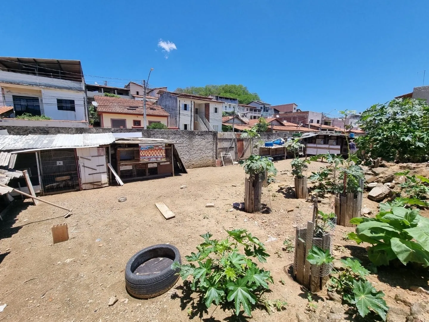 Imagem Terreno Plano de 250 m² em Itaguassu, com Opção de Expansão para 500 m² - Perfeito para Empreendimentos ou Pousada