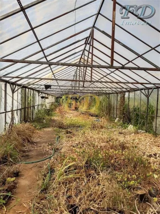 Imagem EXCELENTE SÍTIO EMATIBAIA-SP Características: 3,5 alqueires de área total (aprox. 75.000,00 m²) ...