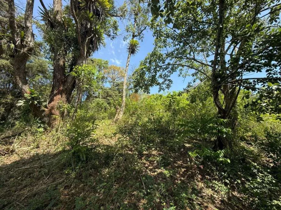 Imagem Terreno para Venda em Teresópolis / RJ no bairro Granja Guarani