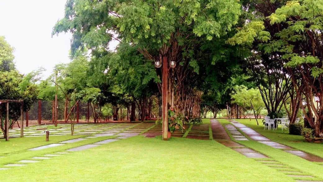 Imagem Vendo um magnífico sítio em Piedade dos Gerais - com 14,5 hectares (145.000 m²) de terreno,