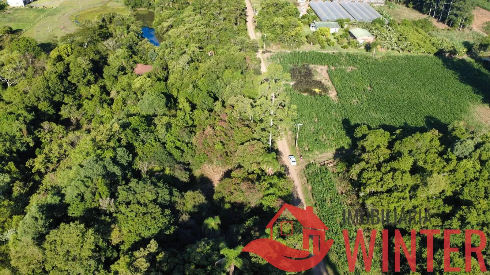 Imagem Área de terras plana com 4.800,00m² em Morro São Pedro, Bom Princípio.