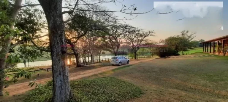 Imagem Haras para venda em Porto feliz com 6 alqueires