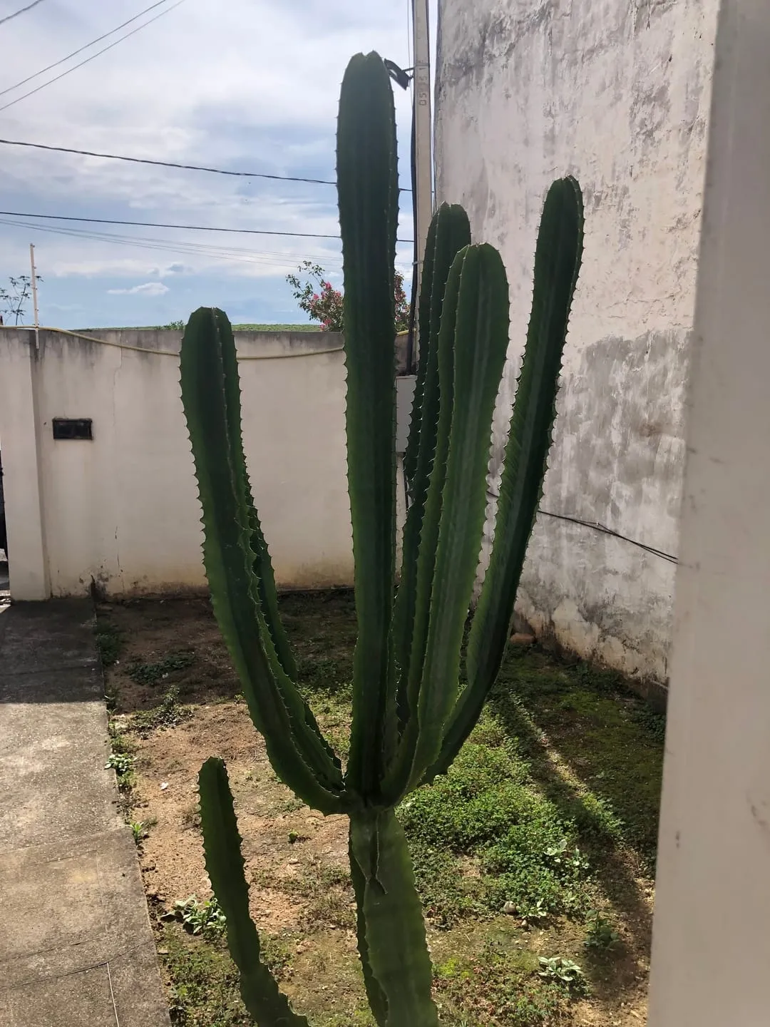 Imagem Casa à venda 3 Quartos, 1 Suite, 2 Vagas, 133.33M², Residencial Mombaça, Pindamonhangaba - SP