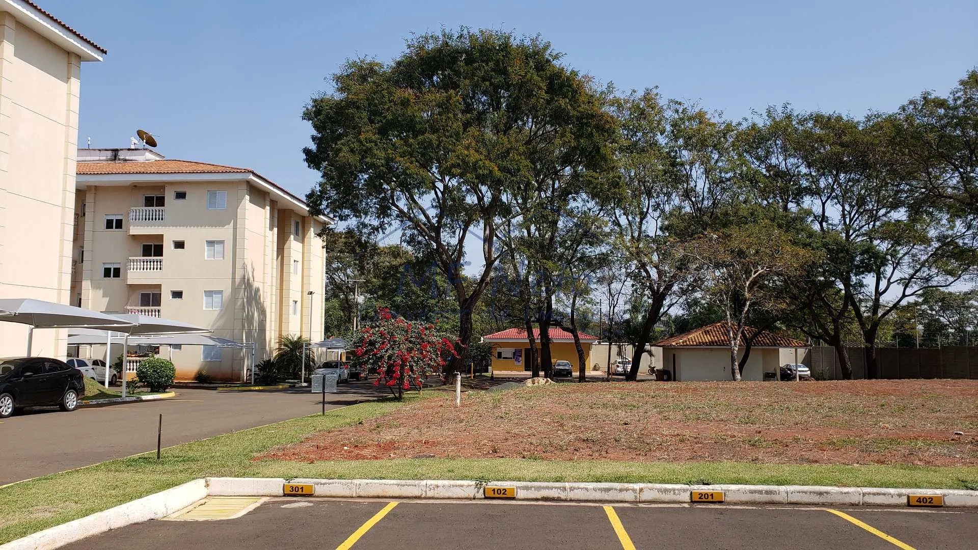 Imagem Apartamento Padrão