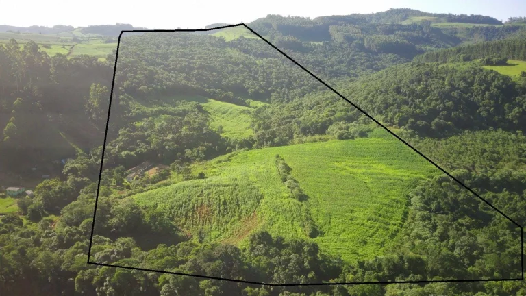 Imagem Área Agrícola para Venda em Lindóia do Sul, Rural