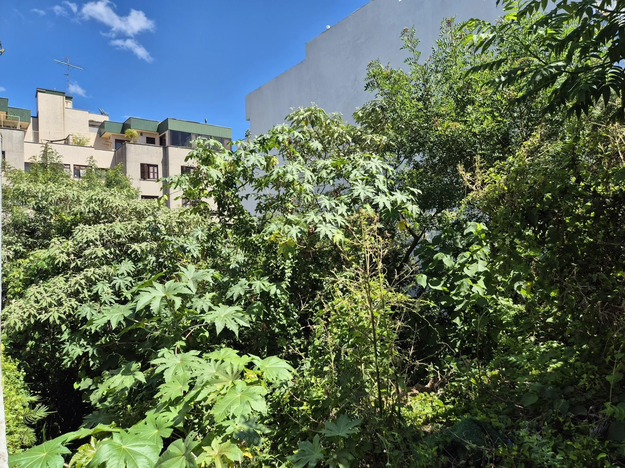 Imagem Terreno com 360m²