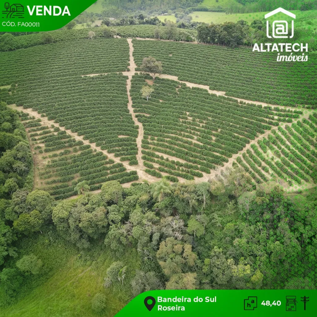 Imagem Fazenda 0 ha à venda em Roseira, Bandeira do Sul