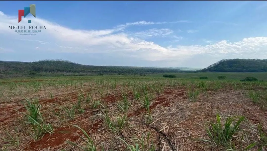 Imagem Fazenda a venda São Carlos SP