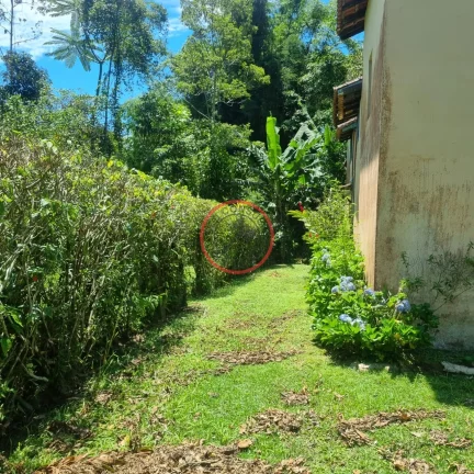 Imagem 2 pequenas Casas na maquinino Bairro MAQUININHA, em um terreno de 700 metros limpo em rua asfaltada , junto a natureza